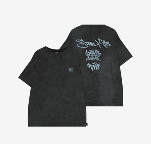 [PRE-ORDER] Stray kids dominATE : celebrATE MD T-SHIRT