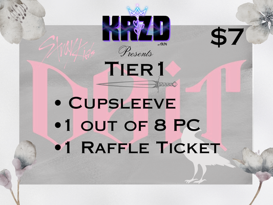 Tampa- Do It Stray Kids Release Event Tier 1