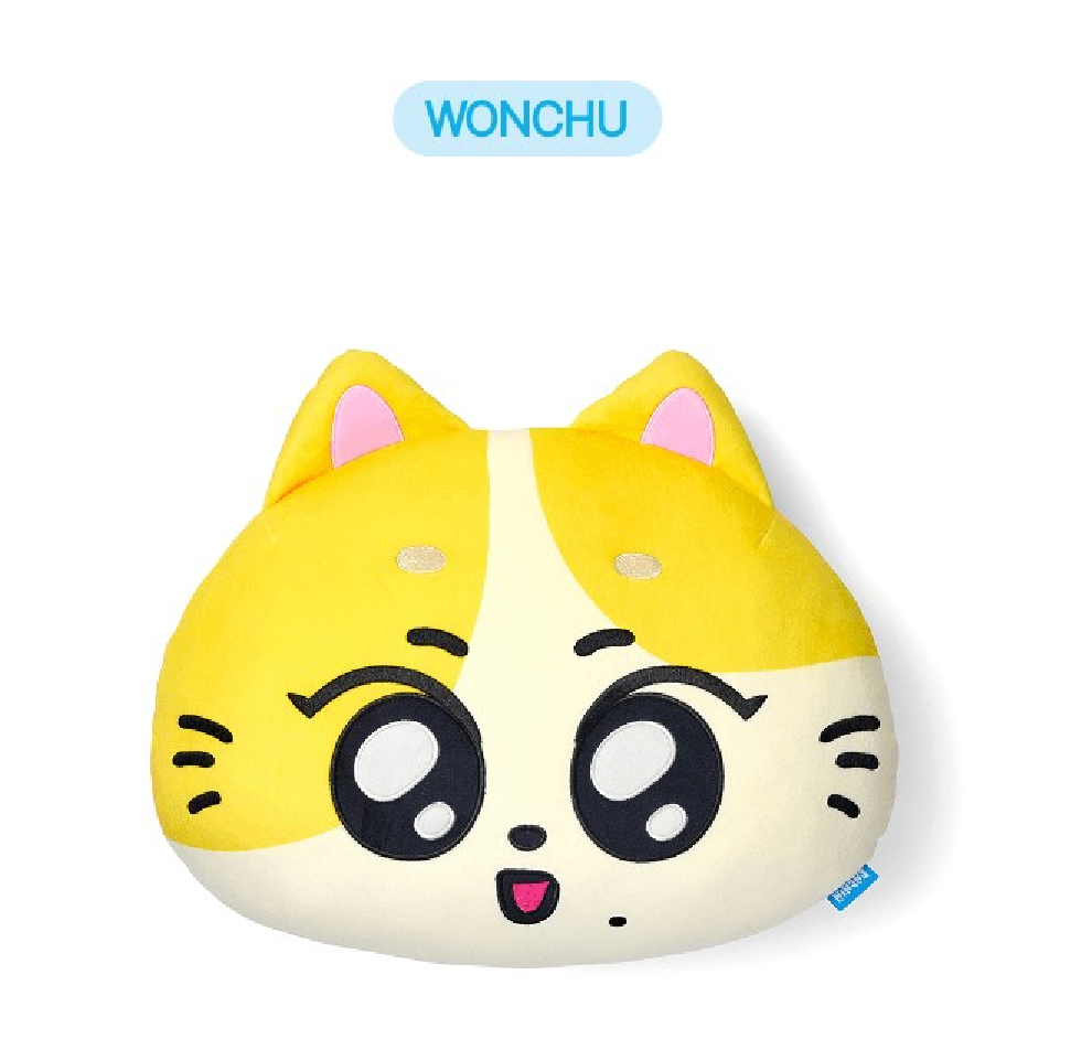 [ENHYPEN] ENCHIN - FACE CUSHION